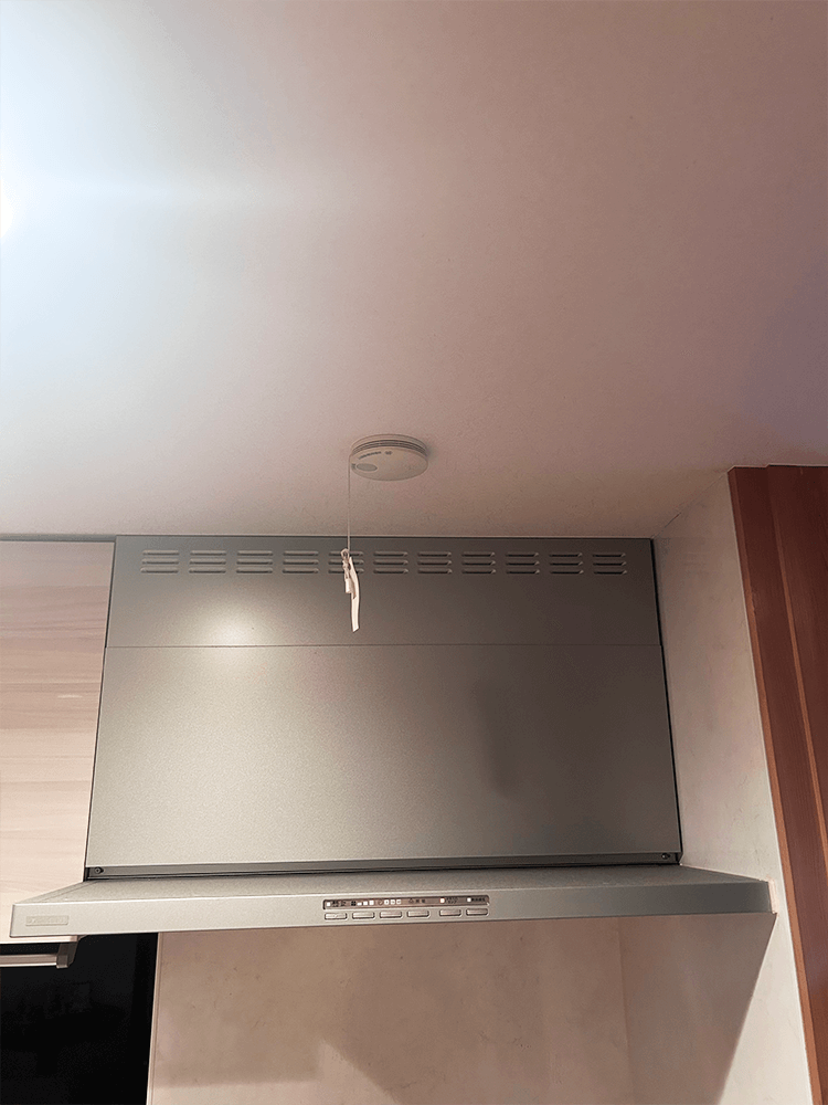 レンジフード-全体写真：正面